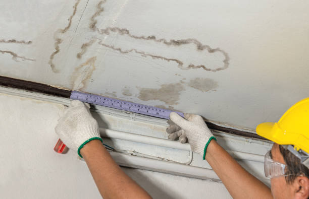 Affordable Water Damage Repair solutions in Glen Ferris, WV